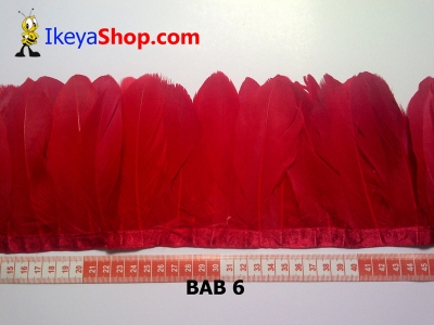 Bulu angsa BAB 6   feather  large2